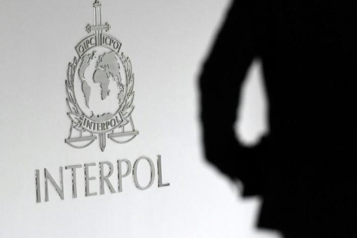 Interpol expects more arrests will follow as investigations continue, stemming from an operation into a site on the "dark web" that was launched two years ago