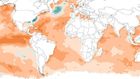 Ocean heat waves are threatening marine life