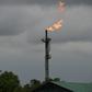 The Niger Delta Avengers have carried out dozens of attacks on oil infrastructure in Nigeria's south