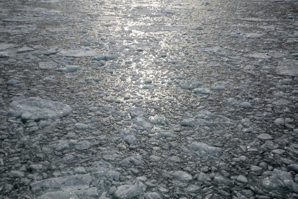 Climate change could leave thousands of lakes ice-free | Pulse Ghana