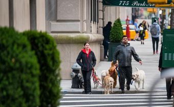 Park Avenue: Flowers and financiers, in the thick of it all