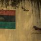The Indigenous People of Biafra wants independence for the Igbo people who are in the majority in southeast Nigeria