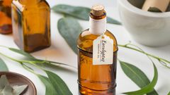 The 12 Best Eucalyptus Oil Benefits