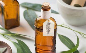 The 12 Best Eucalyptus Oil Benefits