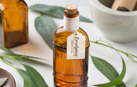 The 12 Best Eucalyptus Oil Benefits