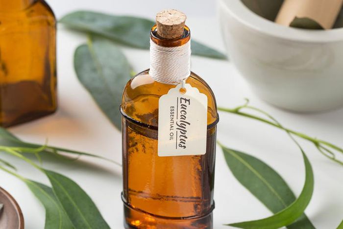 The 12 Best Eucalyptus Oil Benefits