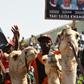 Supporters on camels hold banners of Nigeria's ruling All Progressives Congress during an election rally in Kano