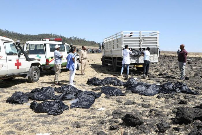 Rescue teams collect bodies at the crash site of an Ethiopia Airlines plane which came down near the capital Addis Ababa, killing all 157 on board