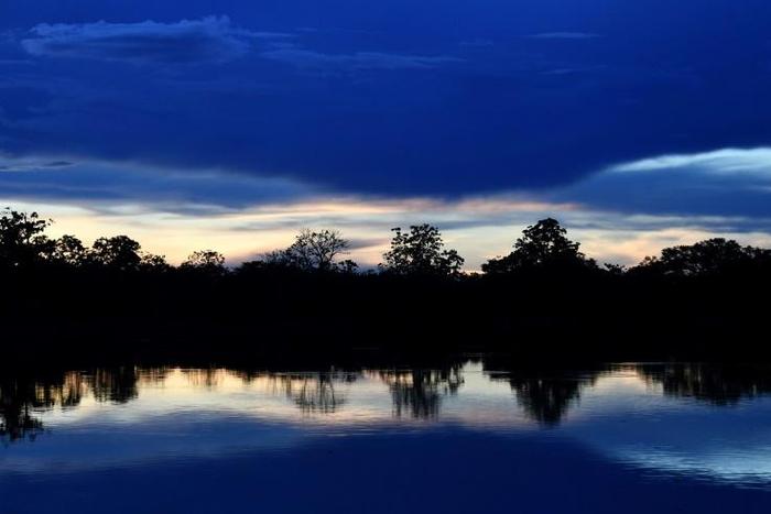 Sunset on the Mamiraua River at the Mamiraua Reserve, Brazil's largest protected area, in Amazonas State: scientists are now eavesdropping on the forest's wildlife using highly sensitive listening devices