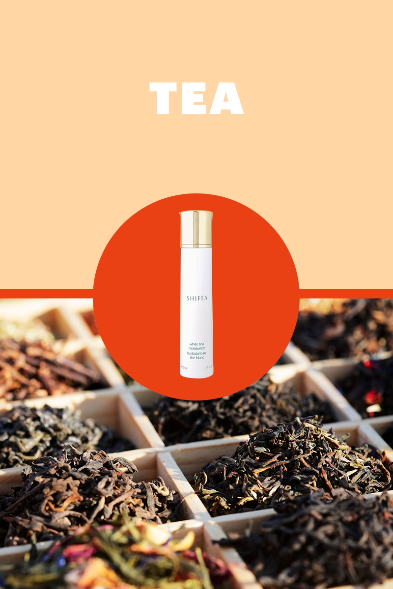 shiffa moisturizer