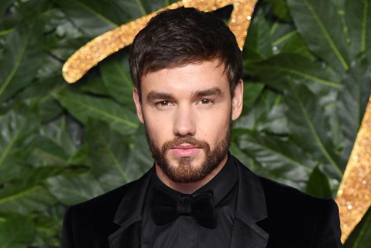 Liam Payne Reveals How Being in 1D Was Toxic