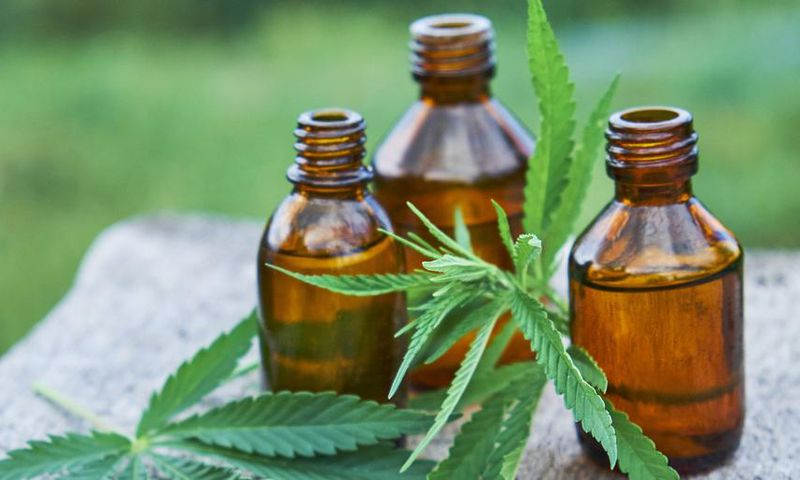 Is Hemp Oil Beneficial?