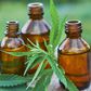Is Hemp Oil Beneficial?