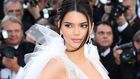 Kendall Jenner Instagrams A Snake In Her Hair