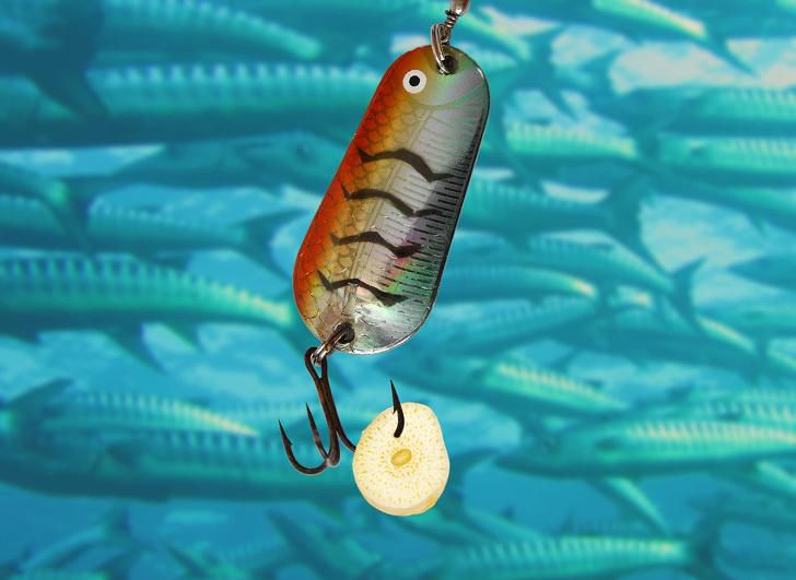 fishbait