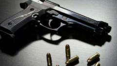 Gun