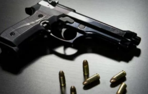 Gun