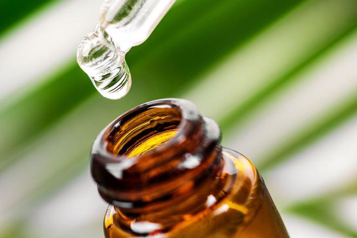 How to Use Tea Tree Oil For Acne