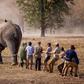 The Liwonde National Park anti-poaching project began in 2016, when hundreds of elephants were relocated