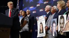 Is there a connection between illegal immigration and crime?