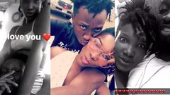 Ogee and Ebony