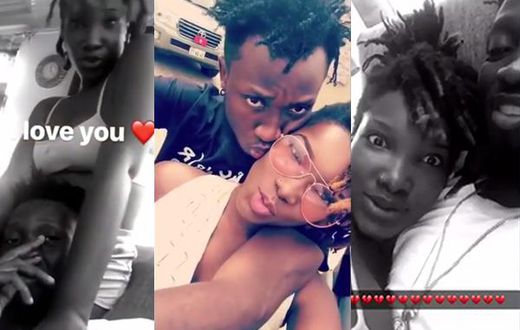 Ogee and Ebony