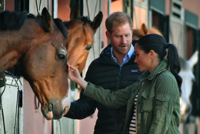 Prince Harry and his wife Meghan petted the horses which are providing a source of therapy for young people with disabilities