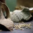 Ancient amphoras are showcased during a news conference in Jerusalem on May 22, 2019 when Israeli researchers announced they have managed to produce beer made with a yeast that descended from one some 3,000 years old