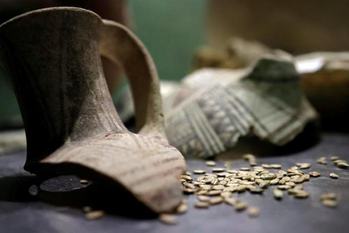 Ancient amphoras are showcased during a news conference in Jerusalem on May 22, 2019 when Israeli researchers announced they have managed to produce beer made with a yeast that descended from one some 3,000 years old