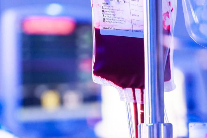 Young Blood Transfusions Could Be Dangerous