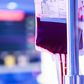 Young Blood Transfusions Could Be Dangerous