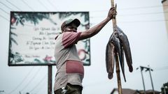 In Nigeria, about 87 million people live in extreme poverty on less than $1.90 a day