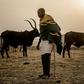 Both farmers and herdsmen hope Nigeria's next government will settle their bloody feud