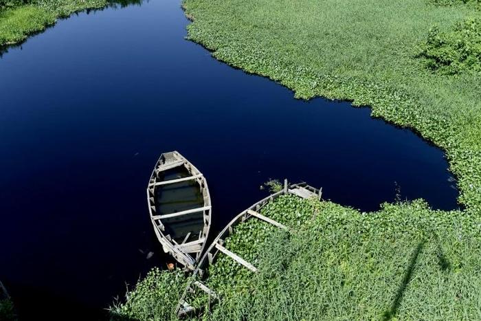 With waterways covered and silting up, the aquatic weed is also threatening fishing jobs and a vital food source