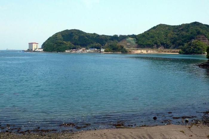 The lawsuit is the first-ever legal challenge to the hunt in the town of Taiji