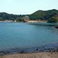 The lawsuit is the first-ever legal challenge to the hunt in the town of Taiji