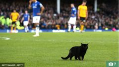 Black Cat