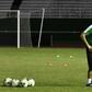Belgium's Marc Wilmots to coach Iran