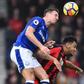 Phil Jagielka (left) in Premier League action