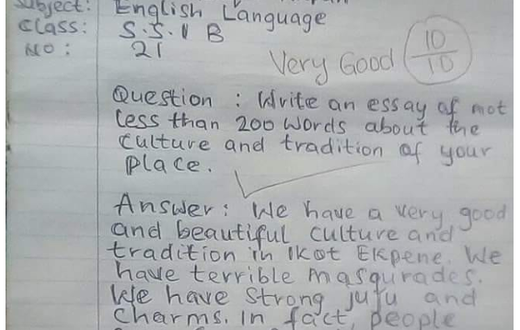 Student’s hilarious essay written in an exam leaks online as people question teacher’s marking scheme