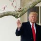 US President Donald Trump's former aide Hope Hicks has been subpoenaed to testify about her former boss by the House Judiciary Committee
