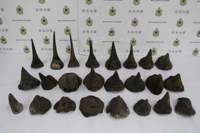 An environmental group in Hong Kong said the 40 kilograms of rhino horn was a major bust