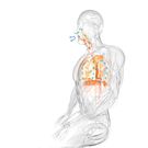 How to Use Your Breath to Get Stronger