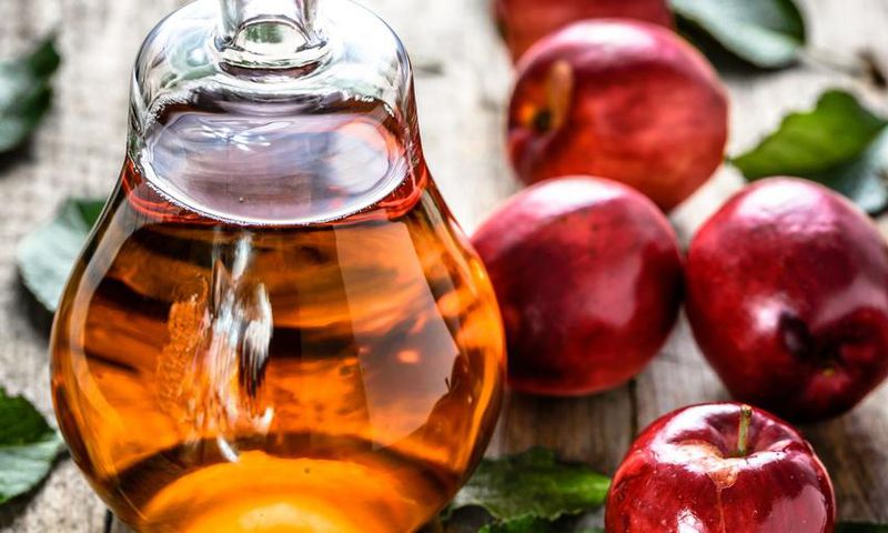 Does Apple Cider Vinegar Help You Lose Weight?