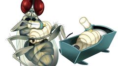 Everywhere in the Animal Kingdom, Followers of the Milky Way