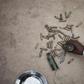 Violence in Central African Republic has claimed thousands of lives and forced more than a million people from their homes