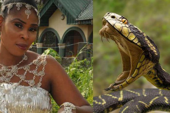 Pastor’s wife dies of snakebite hours after wedding following 8 years of cohabiting