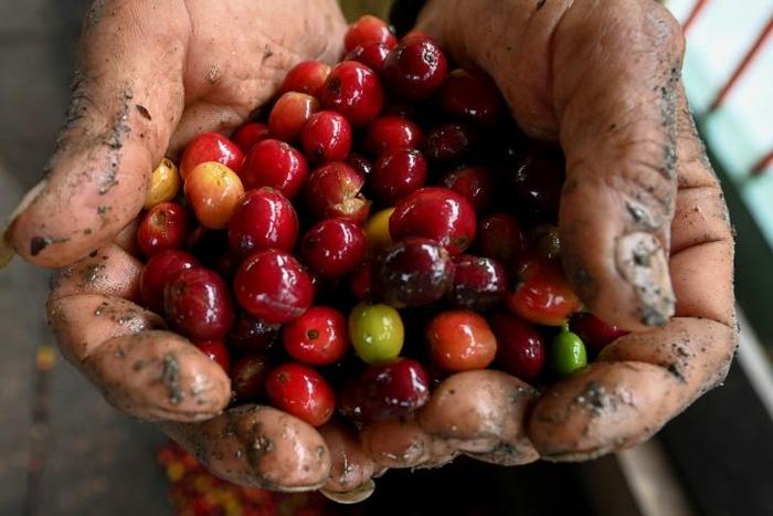 Colombian coffee producers say they are selling at a loss, blaming the crash devastating their industry on stock market speculators who have forced prices down to an all-time low
