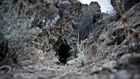 Saving the Bats, One Cave at a Time