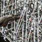 The company involved in renovating Notre-Dame before last week's fire had imposed a strict ban on smoking while up the scaffolding, which some workers ignored